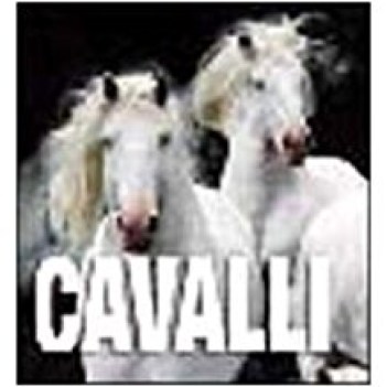 cavalli (cube book)