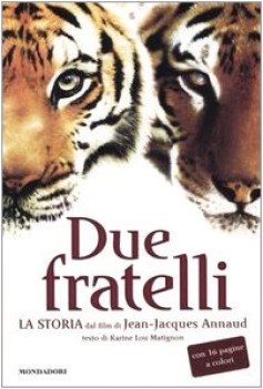 due fratelli, la storia del film