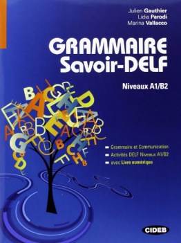 grammaire savoir-delf francese, grammatica