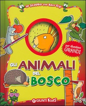 animali del bosco