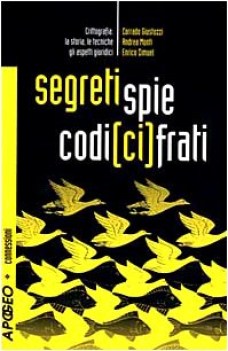 segreti spie codici cifrati