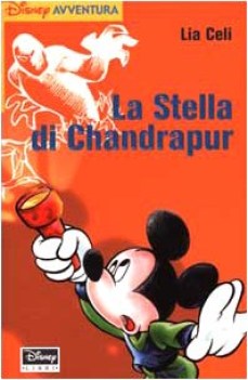 stella di chandrapur