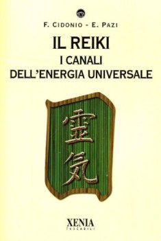 reiki i canali dell\'energia universale