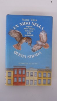 nido nella quinta strada