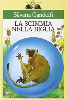 scimmia nella biglia