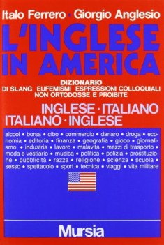 inglese in america. dizionario di slang: