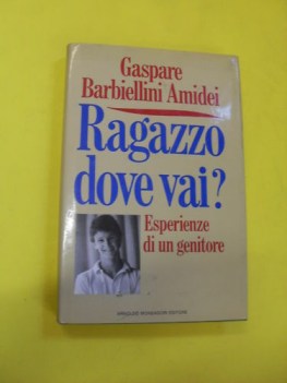 ragazzo dove vai esperienze di un geni