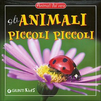 animali piccoli piccoli