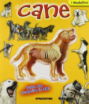 cane (modellini 3d)