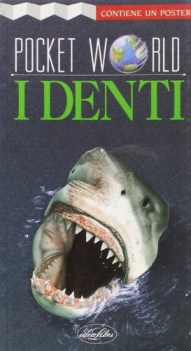 denti (pocket world)