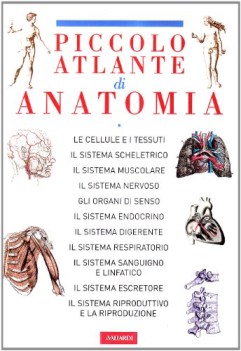 piccolo atlante di anatomia