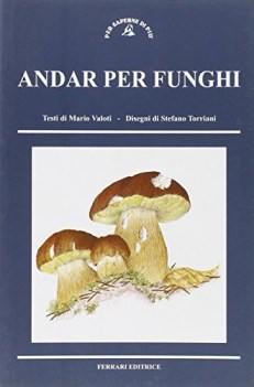 andar per funghi