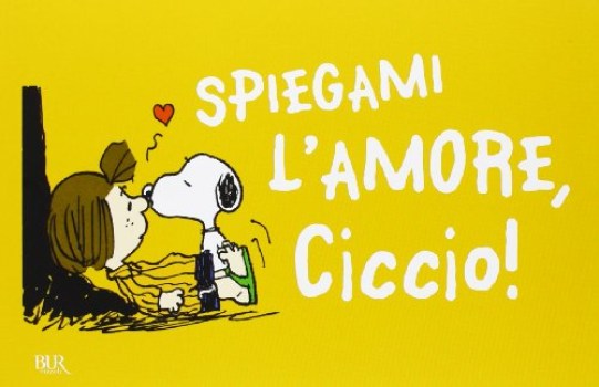 spiegami amore ciccio biglietto