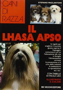 lhasa apso