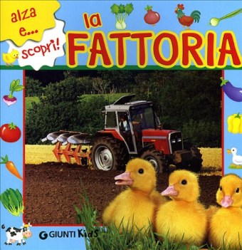 fattoria