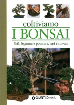 coltiviamo i bonsai