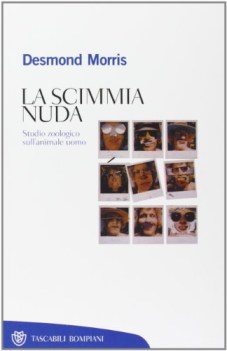 scimmia nuda fc