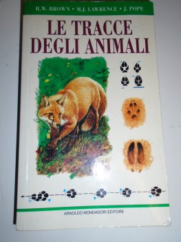 tracce degli animali