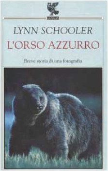 orso azzurro breve storia di una fotografia