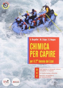 chimica per capire +dvdrom (d-e-f)