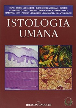 istologia umana