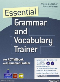 essential grammar and vocabulary trainer + ab