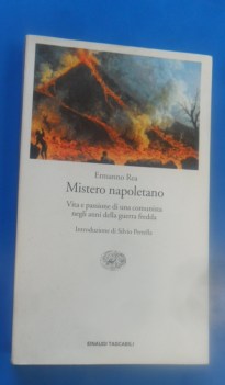 Mistero Napoletano. Vita e passione comunista negli anni della Guerra fredda