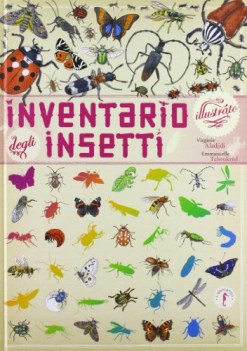 inventario illustrato degli insetti