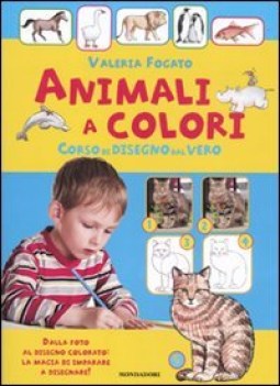 animali a colori corso di disegno dal vero