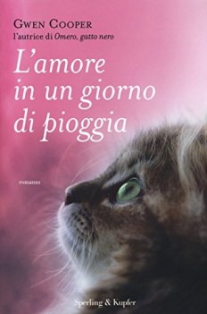 amore in un giorno di pioggia