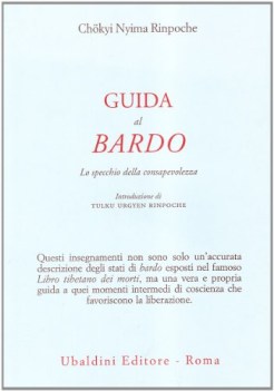 guida al bardo lo specchio della consapevolezza