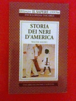 storia dei neri damerica