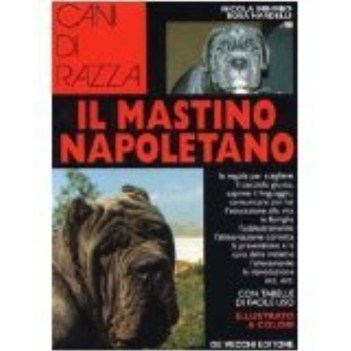 mastino napoletano