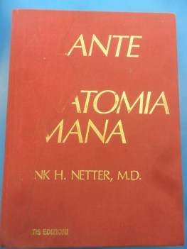 atlante di anatomia umana netter