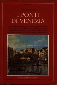 ponti di venezia