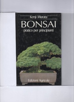 bonsai pratico per principianti