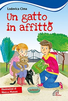 gatto in affitto