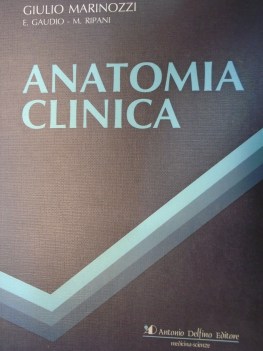 anatomia clinica