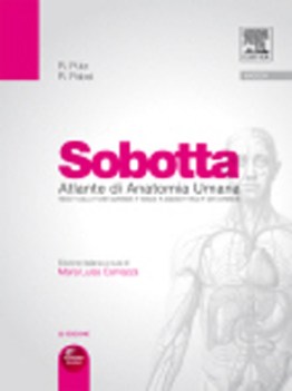 sobotta atlante di anatomia umana