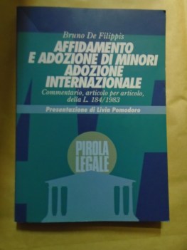 affidamento e adozione di minori adozione internazionale