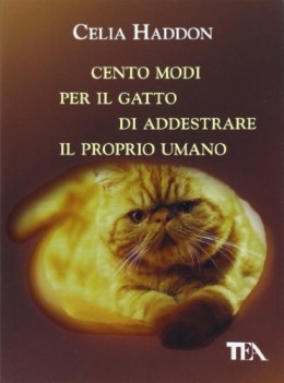 cento modi per il gatto di addestrare il proprio umano