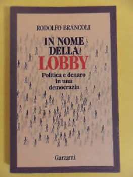 in nome della lobby politica e denaro in una democrazia