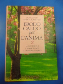 brodo caldo per l\'anima 2 storie che scaldano il cuore e confortano lo spirito