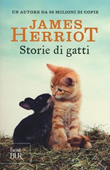 storie di gatti