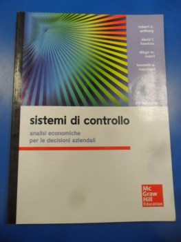 sistemi di controllo analisi economiche per le decisioni aziendali