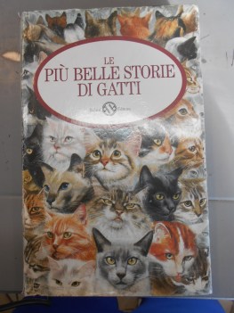 piu belle storie di gatti