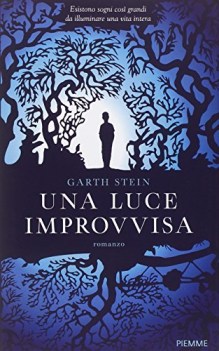 luce improvvisa