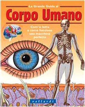 corpo umano