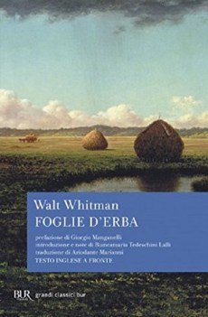 foglie d\'erba