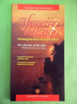 fascino del lago. immagini da lecco a colico